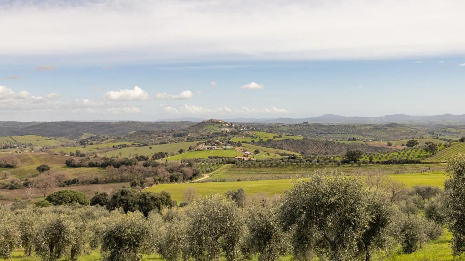 Farm stay Casale Oleo Villa Montiano